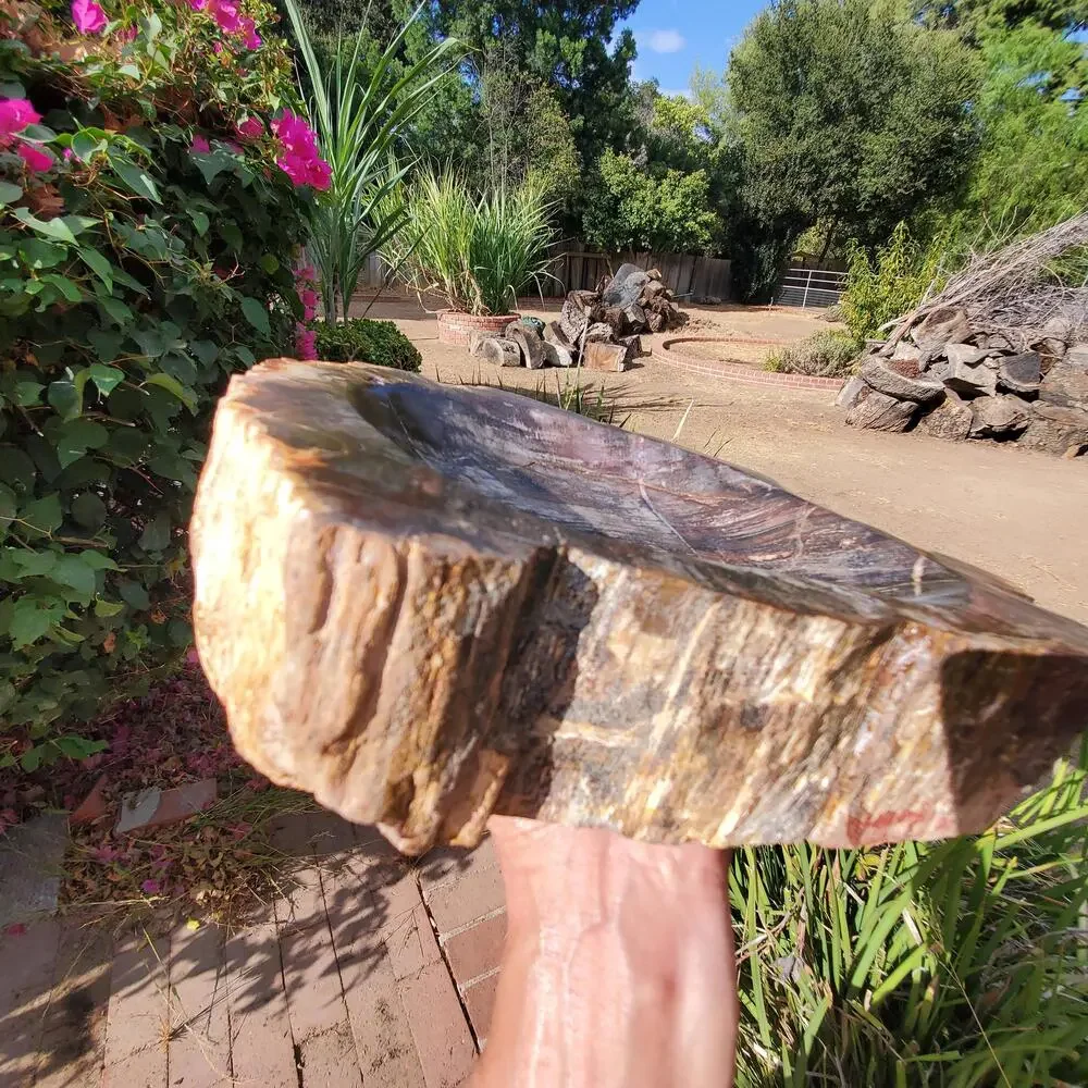 13lbs+ Red Brown XL Petrified Wood Fossilized Bowl 6210 grams